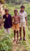 TL-Kerala-11-People-BoysOnPath.jpg (34562 bytes)